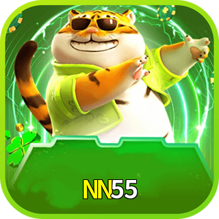 NN55